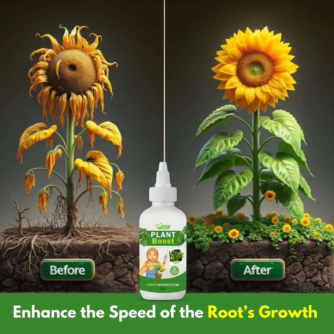 Plant Boost Liquid Biofertilizer for All Crops,Organic (Pack of 3)